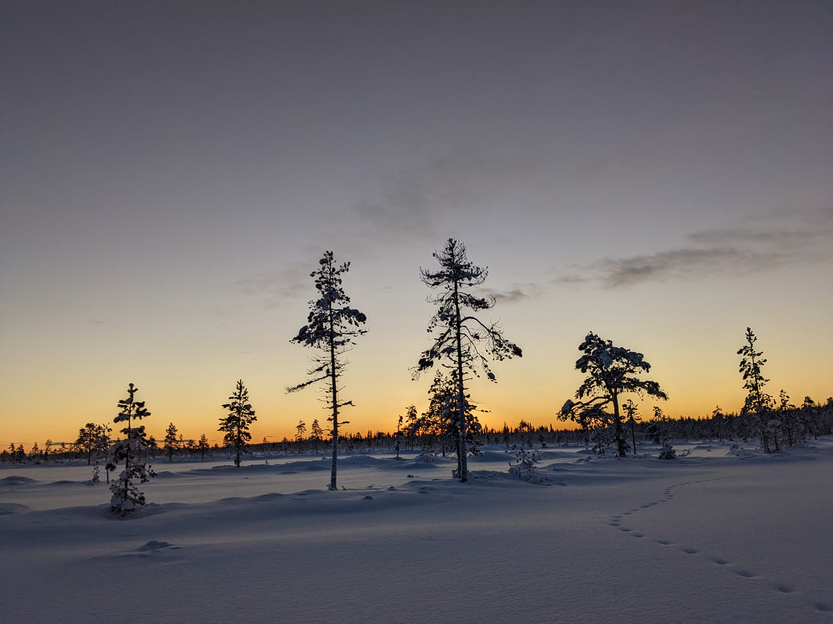 Lapland to see the big man.