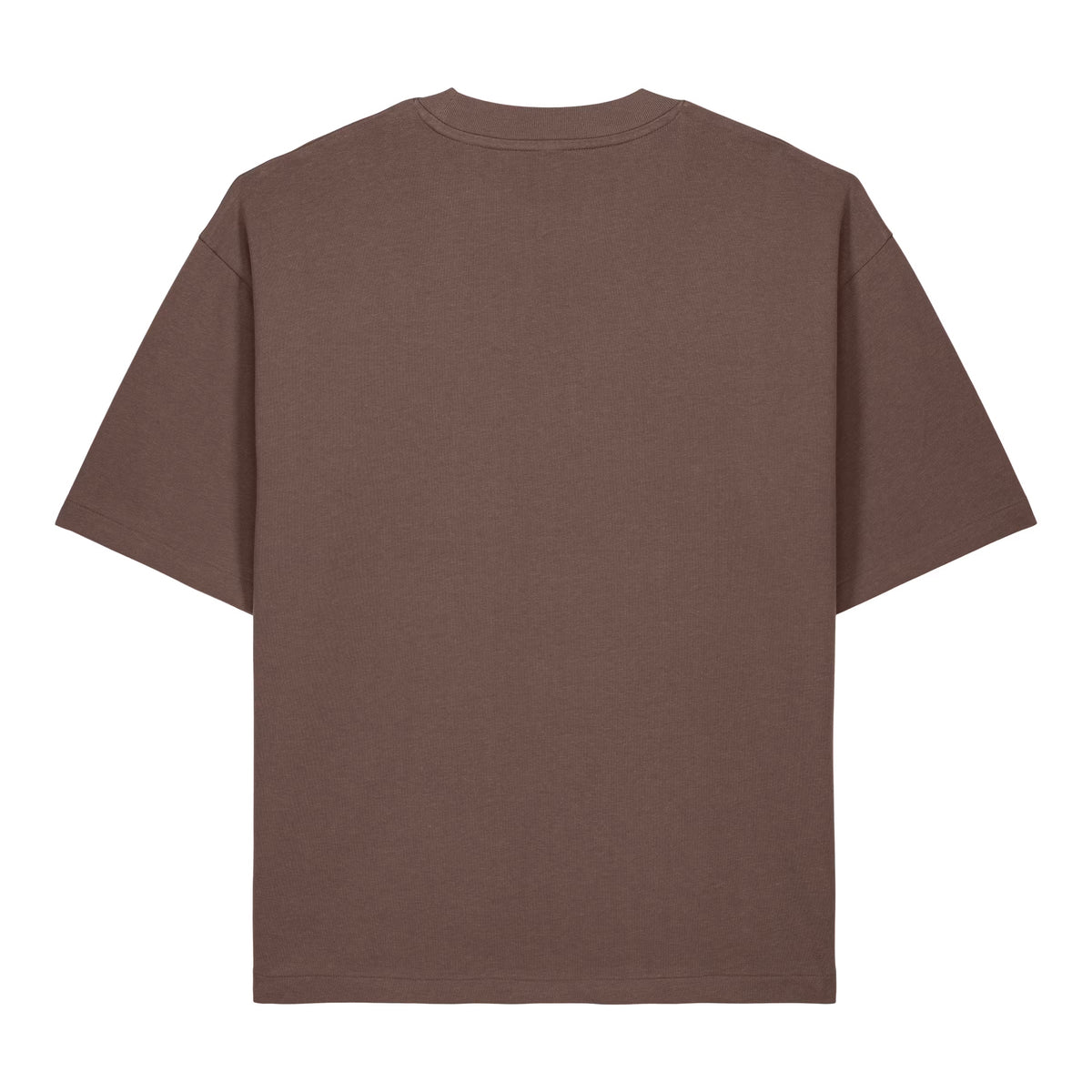 Sauce & Brown Dune oversized T-shirt in mocha – back view