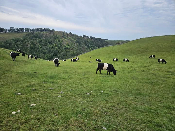 15 Miles, 7 Pubs, 8 Pints: Paul’s Peak District Adventure