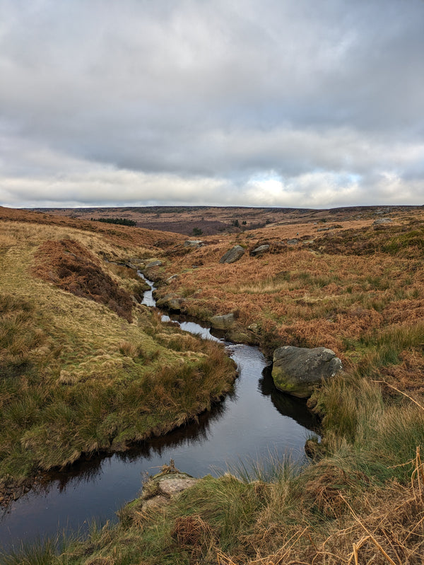 Exploring Higger Tor: A Family Adventure in the Peak District