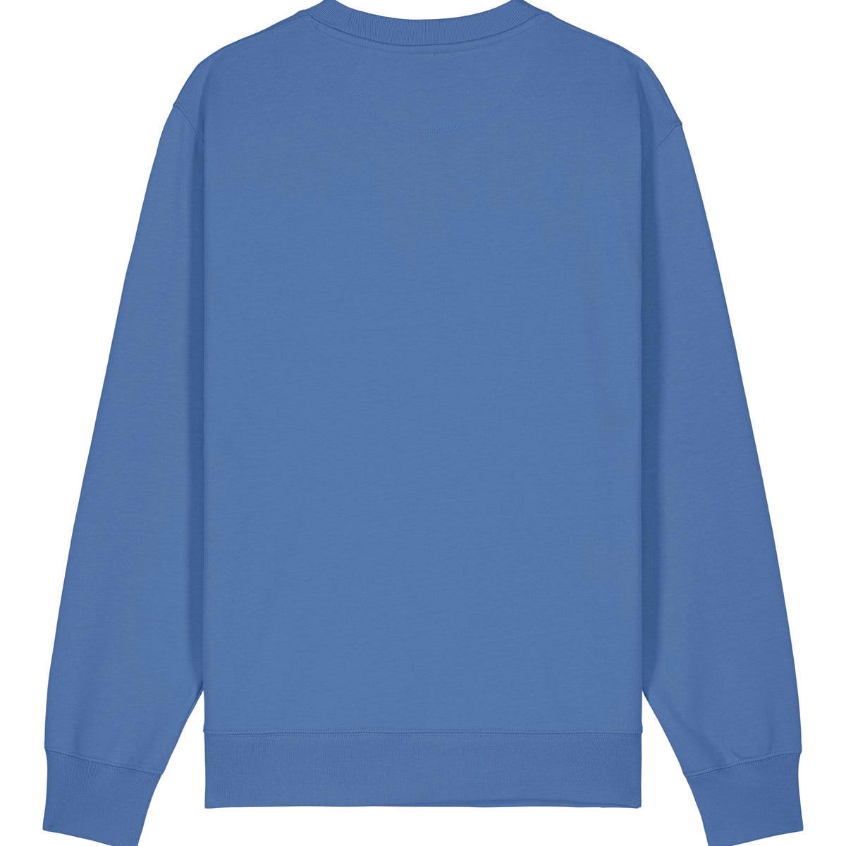 Back view of Sauce & Brown Bluebird crewneck sweatshirt